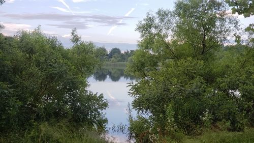 Reflection of trees in lake against sky