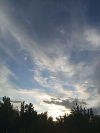 Low angle view of silhouette trees against sky