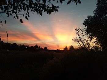 Scenic view of silhouette trees against sky during sunset