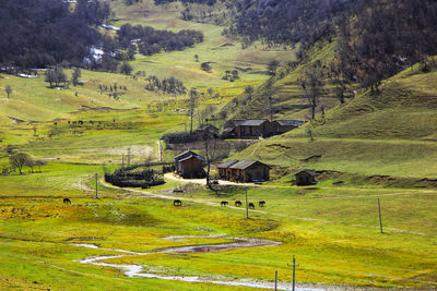 Scenic view of field by houses and trees