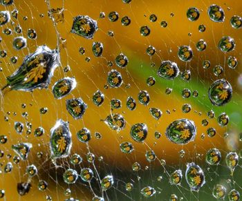 Full frame shot of wet bubbles