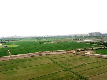 Scenic view of agricultural field against clear sky