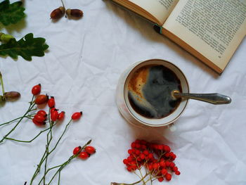 High angle view of red berries on table