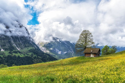 landscape