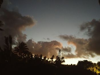 Low angle view of silhouette trees against sky at sunset