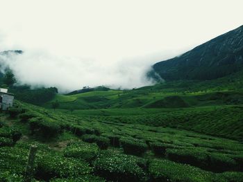 Scenic view of green mountains during foggy weather