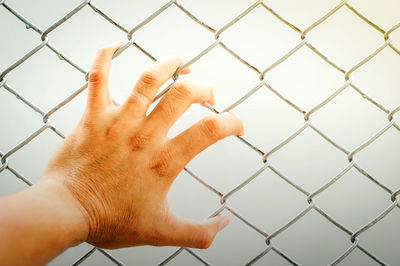 Close-up of hand holding chainlink fence