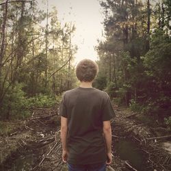 Rear view of woman standing in forest