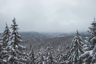 Low angle view of snow covered landscape against sky