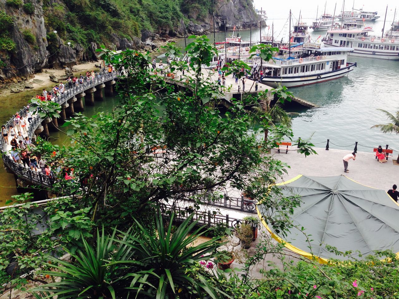 water, large group of people, flower, tree, sea, growth, high angle view, person, plant, leisure activity, lifestyles, nature, incidental people, green color, mixed age range, men, transportation, tourist, day