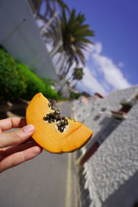 Midsection of person holding orange