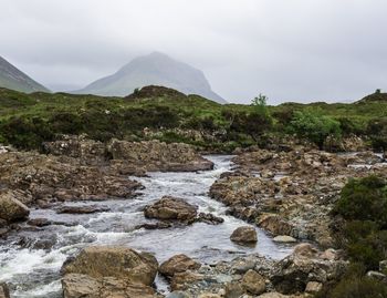 Summer in highlands