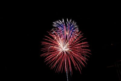Low angle view of firework display at night