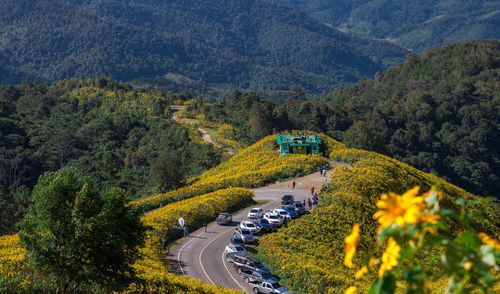 High angle view of road amidst trees and mountains