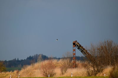 Bird flying against clear sky