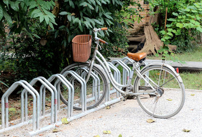 Bicycle against trees