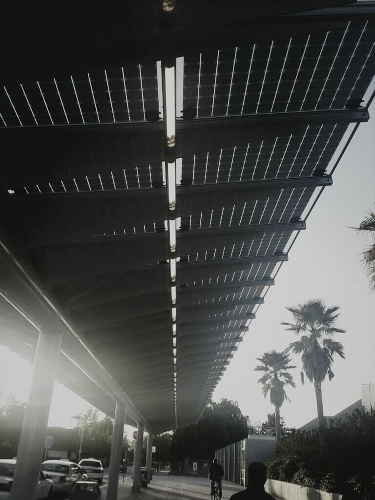 built structure, architecture, low angle view, modern, architectural column, building exterior, in a row, incidental people, indoors, ceiling, tree, travel destinations, building, shadow, column, day, sunlight, travel, city