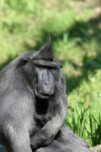 Close-up of female sitting outdoors