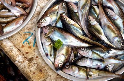 High angle view of fish for sale in market