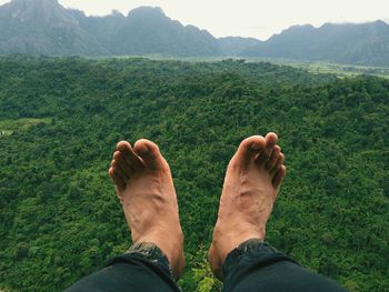 Low section of man on green landscape