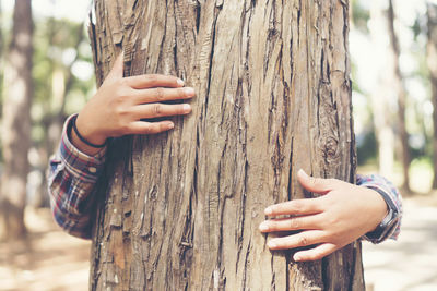 Cropped hands of woman embracing tree