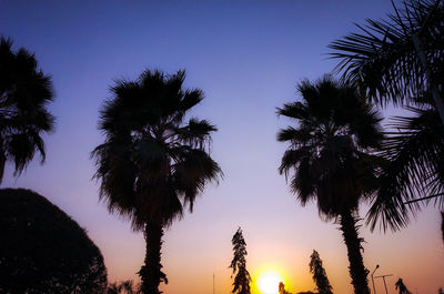 Low angle view of silhouette trees against sky at sunset