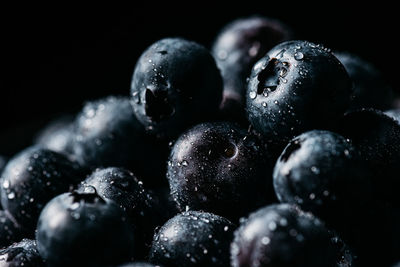 Close-up of blueberries against black background