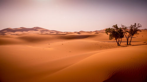 Scenic view of desert against sky during sunset