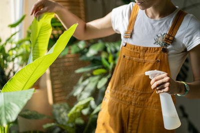 Woman gardener  spraying banana palm houseplant, moisturizes leaves during the heating season