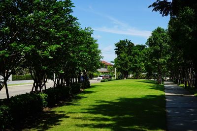 Road amidst trees in city against sky