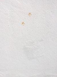 Close-up of white wall