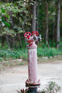 Close-up of fire hydrant