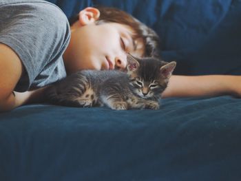 Portrait of cat lying on bed