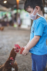 Boy feeding chicken outside