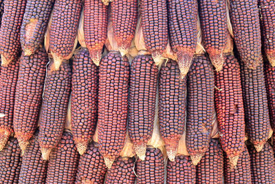 Full frame shot of candies in market stall