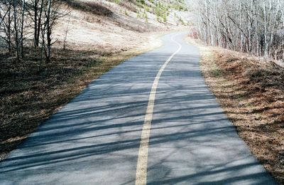 Road passing through forest