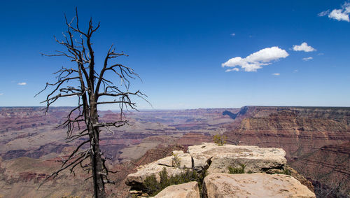 Scenic view of landscape against blue sky