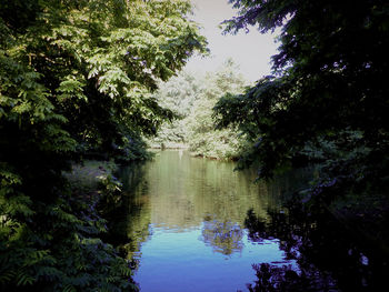 Reflection of trees in lake against sky