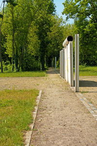 Road amidst trees