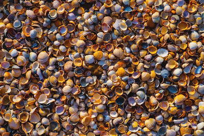 Full frame shot of stones