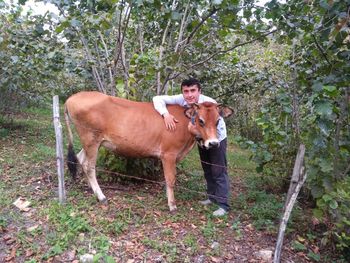 Portrait of young man standing by cow on field