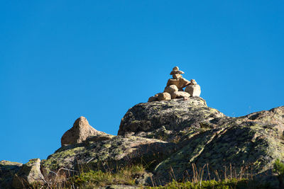 Low angle view of bird perching on rock against clear blue sky