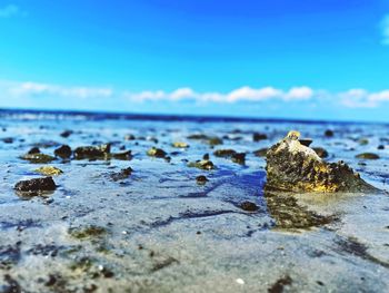 Close-up of water on rock in sea against sky