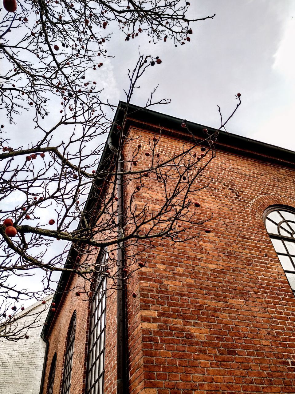 LOW ANGLE VIEW OF BUILDING AND BARE TREE AGAINST SKY