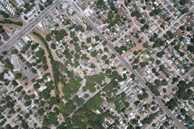 High angle view of plant against building