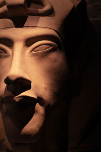 Close-up of human skeleton