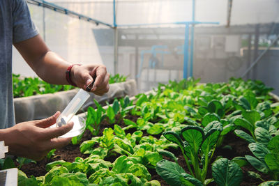 Midsection of man gardening