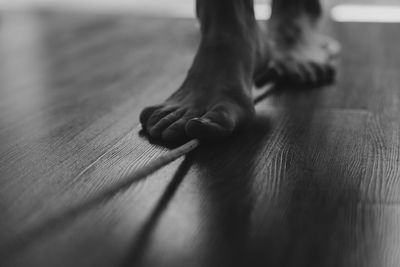 Low section of person relaxing on floor at home