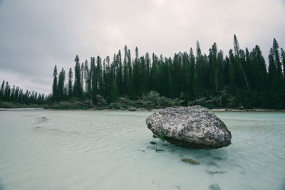 View of rocks by sea against sky