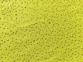 High angle view of water drops on yellow surface